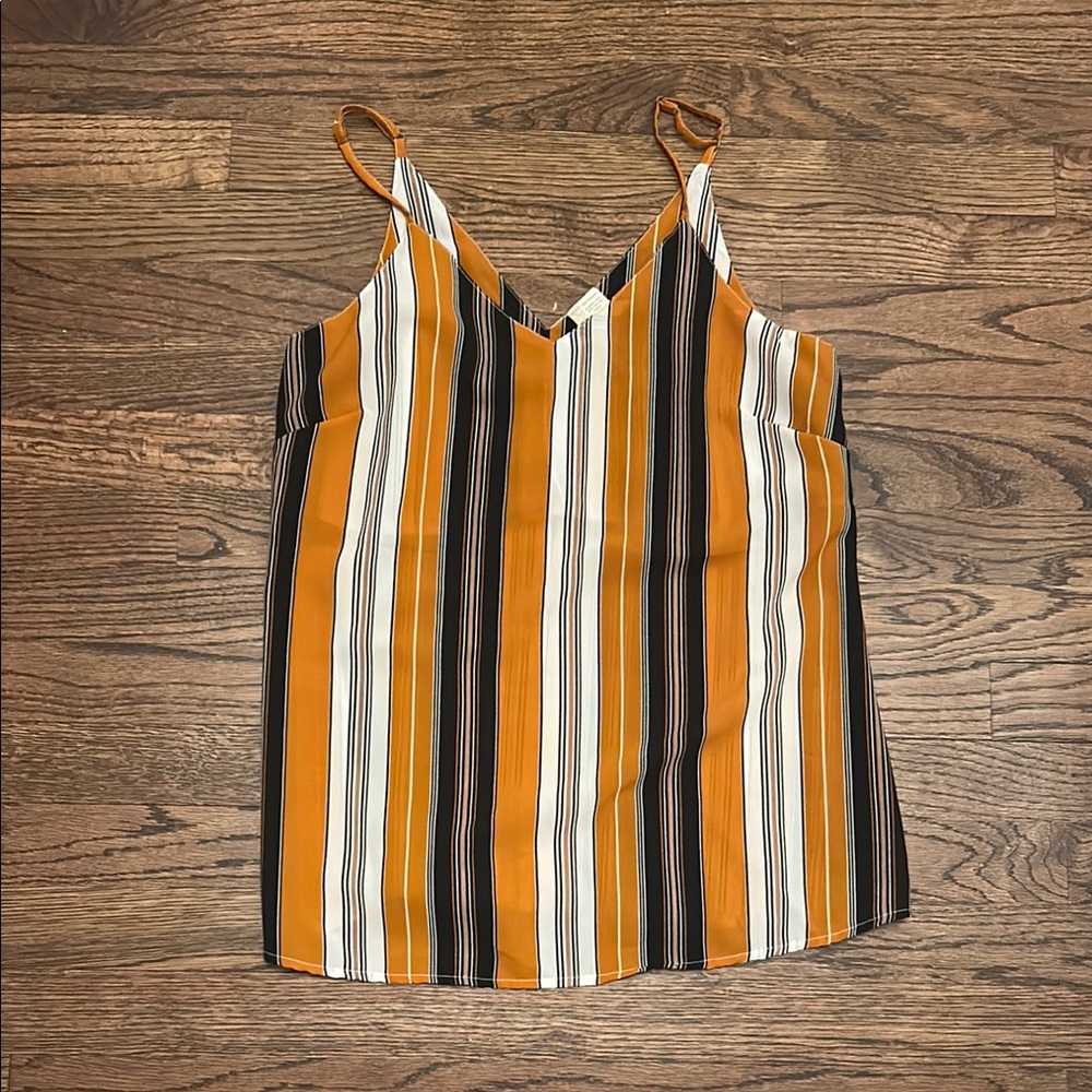 Japna Multicolor Striped Tank Top